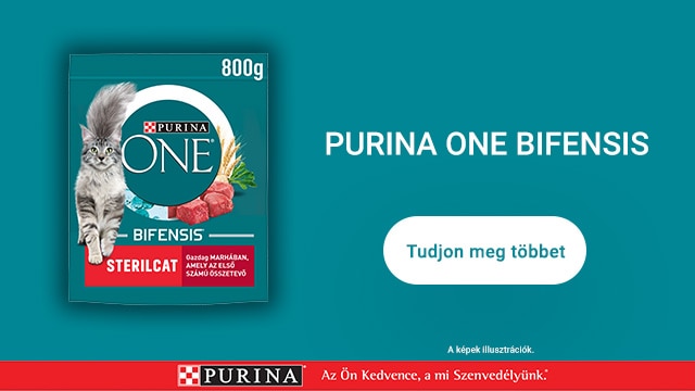 PURINA ONE macska emésztőrendszere teszt kép