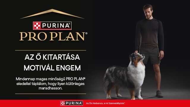 PURINA macskaeledel