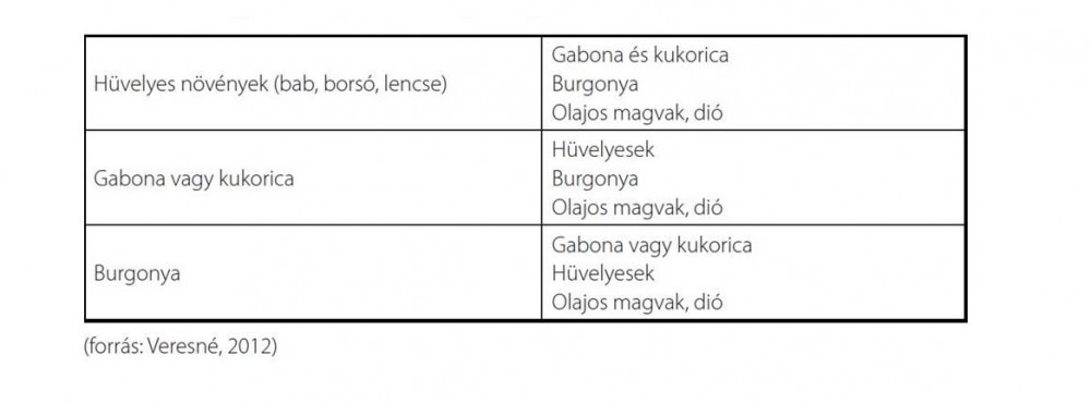 Kiegészítő fehérjék